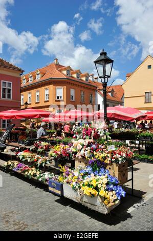 Croazia Zagabria Kaptol quartiere mercato Dolac più importanti in città Foto Stock