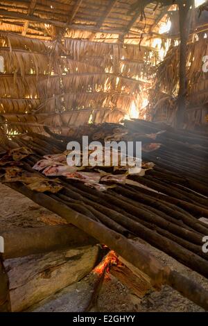 Madagascar Loky-Manambato area protetta Daraina Sahaka lago pescatore pesci di essiccazione appena catturati Foto Stock