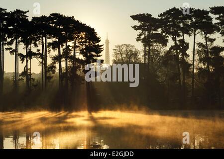 Francia Parigi Torre Eiffel e il parco di Bois de Boulogne in mattinata Foto Stock