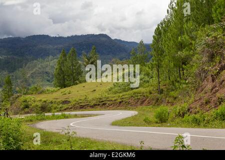 Indonesia nell isola di Sumatra la provincia di Aceh Isaq Village strada che attraversa la foresta di pino Foto Stock