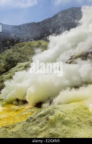 Indonesia Isola di Java Java orientale provincia miniere di zolfo in Kawah Ijen volcano (2500m) Foto Stock