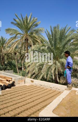 Il sultanato di Oman Ad Dakhiliyah regione Adam villaggio storico sito di ripristino Foto Stock