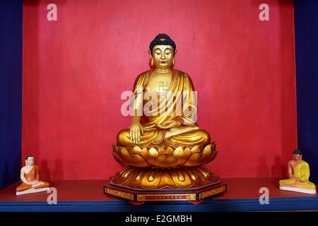 Sri Lanka Provincia centrale Dambulla Tempio d'oro statue di Buddha nel museo Foto Stock
