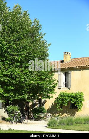 Francia Vaucluse Le Thor La Garance en Provence guest house Foto Stock