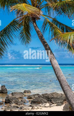 Isole Cook Rarotonga Island Muri lagoon Foto Stock