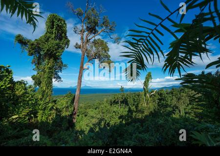 Papua Nuova Guinea nuova isola Gran Bretagna West New Britain provincia Talasea distretto area di Kimbe Foto Stock