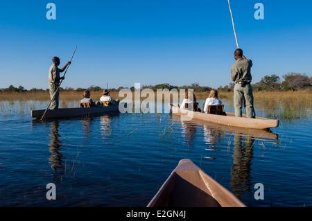 Il Botswana nord ovest District Okavango Delta Abu Lodge safari