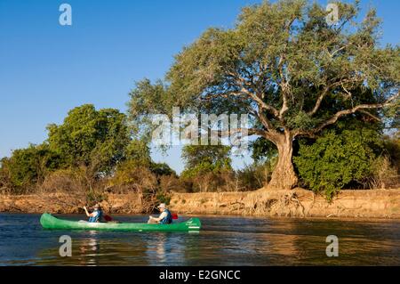 Zimbabwe Mashonaland occidentale provincia Parco Nazionale di Mana Pools elencati come patrimonio mondiale dall' UNESCO Ruckomechi camp safari in canoa sul fiume Zambesi Foto Stock