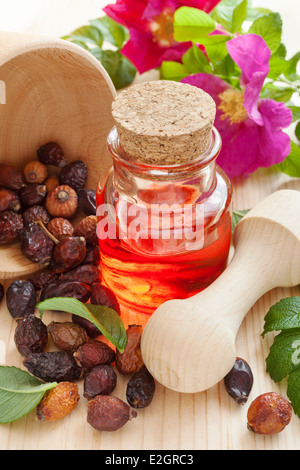 Olio essenziale in una bottiglia di vetro, rosa appassita-hip e bacche di Rosa Mosqueta fiori sul tavolo Foto Stock