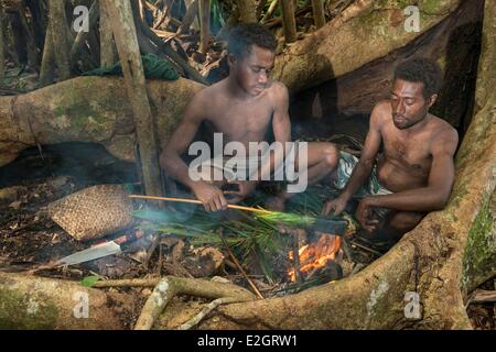 Papua Nuova Guinea arcipelago di Bismarck Penisola Gazelle nuova isola Gran Bretagna East New Britain provincia Rabaul Duca di York isole nelle radici di un albero Foto Stock
