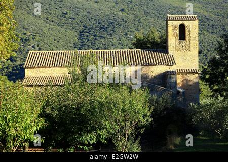 Francia Vaucluse Parc Naturel Regional du Luberon (Parco naturale regionale del Luberon) Vaugines romanica chiesa di Saint Barthelemy del XI secolo Foto Stock