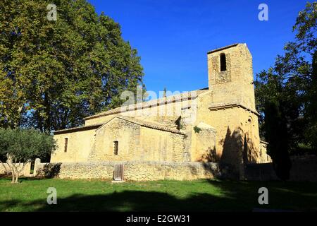 Francia Vaucluse Parc Naturel Regional du Luberon (Parco naturale regionale del Luberon) Vaugines romanica chiesa di Saint Barthelemy del XI secolo Foto Stock