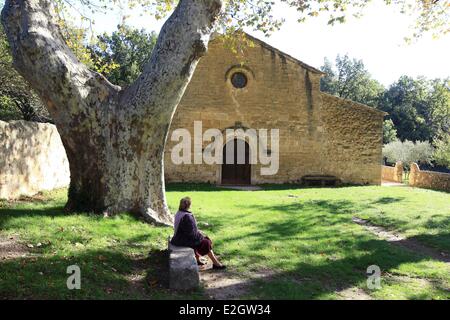 Francia Vaucluse Parc Naturel Regional du Luberon (Parco naturale regionale del Luberon) Vaugines romanica chiesa di Saint Barthelemy del XI secolo Foto Stock