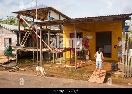 Il Brasile stato di Amazonas Amazon bacino del fiume Manaus Macelleria aperta Foto Stock