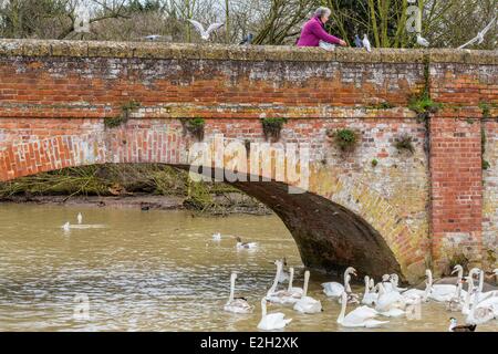 Regno Unito Warwickshire Stratford-upon-Avon Clopton Bridge costruito nel 1480 sul fiume Avon Foto Stock