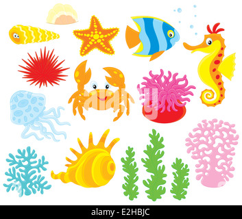 Set di cartoony animali marini, i coralli e le alghe Foto Stock