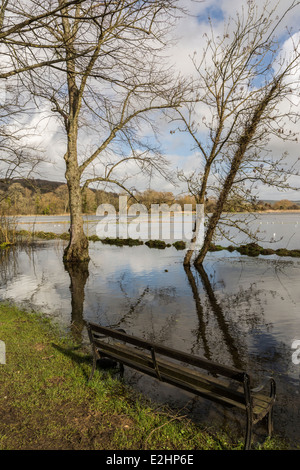 Inverno tempeste e inondazioni influiscono Arundel in West Sussex. Foto Stock