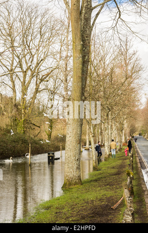 Inverno di tempeste e inondazioni influiscono Arundel in West Sussex. Foto Stock