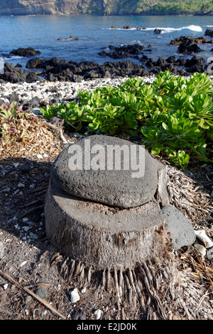 Kealakekua Bay, Captain Cook, Kailu Kona, Big Island, Hawaii, STATI UNITI D'AMERICA Foto Stock