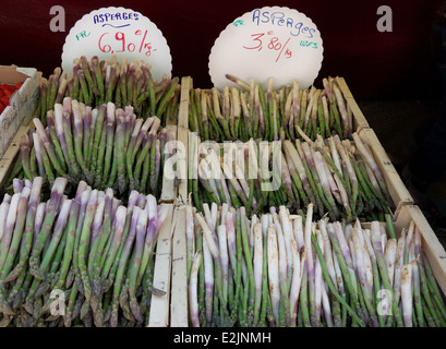 Asparagi freschi per la vendita nel mercato in città del Gange, dipartimento dell'Hérault, nel sud della Francia Foto Stock