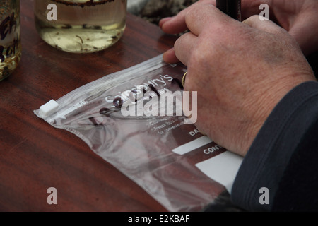 La coltivazione degli alberi che richiedono la fase di stratificazione 5 mark up sigillabile a poli borsa con la varietà e la data Foto Stock