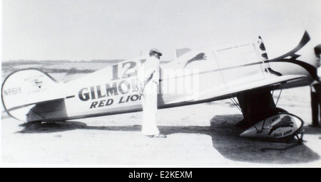 Wedell Williams n. 121 Foto Stock