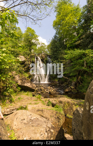 Posforth gill cascata nel Yorkshire Dales, Regno Unito Foto Stock