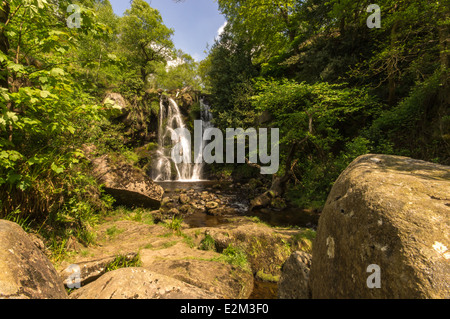 Posforth gill cascata nel Yorkshire Dales, Regno Unito Foto Stock