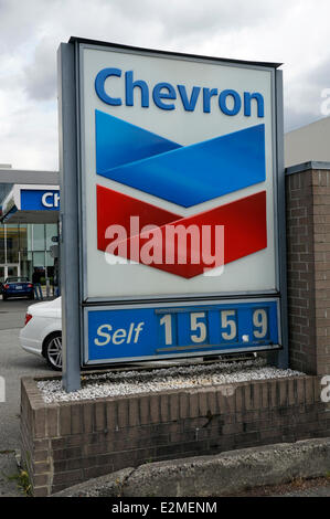 Pompa benzina a Petro-Canada stazione di riempimento che mostra il prezzo del gas per litro, Vancouver, British Columbia, Canada Foto Stock