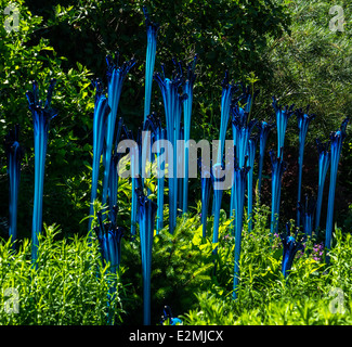 Dale Chihuly vetro soffiato a mano arte presentano al Denver Botanic Gardens Foto Stock