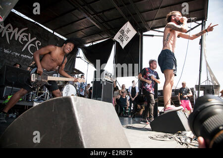 Pomona, CA, Stati Uniti d'America. Xx Giugno, 2014. Problemi esegue al Vans warped tour. Migliaia di giovani musica alternativa ventole acceso per gli Stati Uniti è solo touring festival, alla sua Los Angeles-area sosta in Pomona, California. Il festival tour prosegue domani a Mountain View, CA, Stati Uniti d'America e le finiture in agosto a Denver, CO, Stati Uniti d'America. Credito: Andie Mills/Alamy Live News Foto Stock