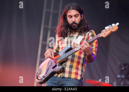 Dover, Delaware, Stati Uniti d'America. Xx Giugno, 2014. Il bassista PAYAM DOOSTZADEH della band giovani il gigante si esibisce dal vivo al 2014 Firefly Music Festival di Dover, Delaware Credit: Daniel DeSlover/ZUMAPRESS.com/Alamy Live News Foto Stock