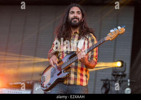 Dover, Delaware, Stati Uniti d'America. Xx Giugno, 2014. Il bassista PAYAM DOOSTZADEH della band giovani il gigante si esibisce dal vivo al 2014 Firefly Music Festival di Dover, Delaware Credit: Daniel DeSlover/ZUMAPRESS.com/Alamy Live News Foto Stock