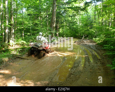 Dipendente del servizio Alex Carter ATVing in remoto a un valutazione larvale sito a ovest del fiume a pelo, Michigan. Foto Stock