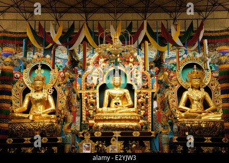 Statue di Buddha in un monastero tibetano Foto Stock