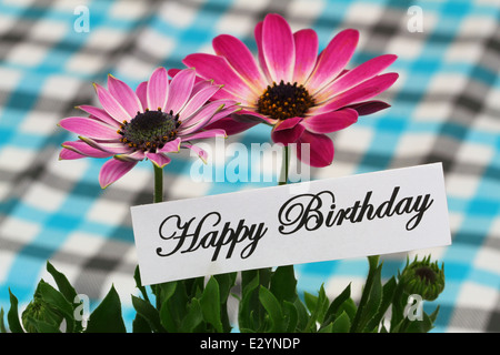 Buon compleanno card con pink gerbera margherite Foto Stock