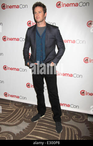 Disney evento durante il 2013 CinemaCon al Caesars Palace Resort and Casino offre: Armie Hammer dove: Las Vegas, Nevada, Stati Uniti quando: 17 Apr 2013 Foto Stock