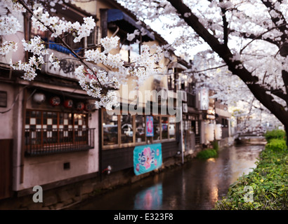 Kiyamachi dori street, Takase fiume di fiori di ciliegio in Kyoto, Giappone 2014 Foto Stock