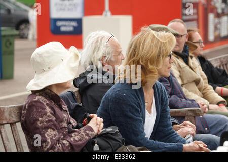 Bunbury carità partita di cricket contro Mike Brearley XI al Lords Cricket Ground raccolta fondi per Camden unità di psicoterapia. Dotate di Juliet Stevenson dove: Londra, Regno Unito quando: 25 Maggio 2013 Foto Stock