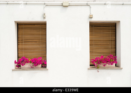 Muro Bianco e di stile veneziano windows con fiori di colore rosa Foto Stock