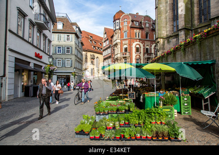 Supporto del mercato nella città vecchia di Tübingen, erbe, Foto Stock