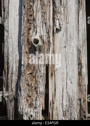Vecchio weathered montante non verniciata di tavole di legno (su una barca capannone Jaeren Norvegia) Foto Stock