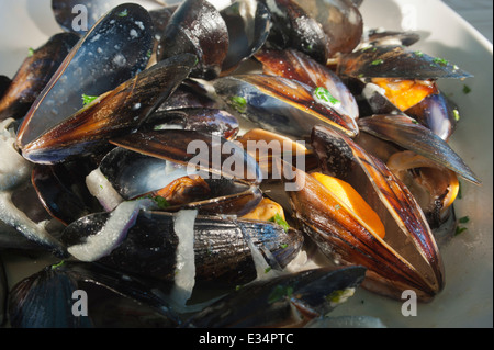 Moules o cozze cotte nel vino bianco con il prezzemolo. Foto Stock