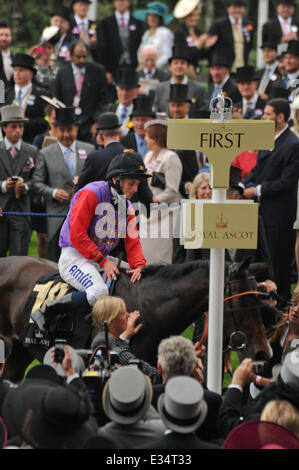 La Queens stima cavallo vince la Coppa d'Oro al Royal Ascot. È la prima volta in gara le 207 anni di storia che è stato vinto da un monarca regnante con: Ryan Moore dove: Ascot, Regno Unito quando: 20 Giu 2013 Foto Stock