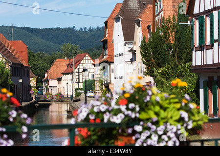 Nord Vosgi Wissembourg Francia Foto Stock