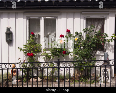 Idilliaco strade strette e bianco con pannelli in legno case con giardini di rose , Drobak Norvegia dal fiordo di Oslo Foto Stock