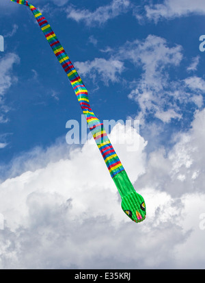 Serpente a forma di serpente kite contro un cielo di Colorado Foto Stock