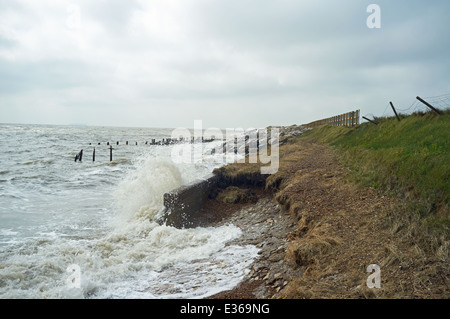 Effetti di erosione costiera, Bawdsey, Suffolk, Regno Unito. Foto Stock