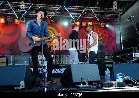 Festival Chagstock giorno due dotate di: corone dove: Devon, Regno Unito quando: 20 lug 2013com Foto Stock