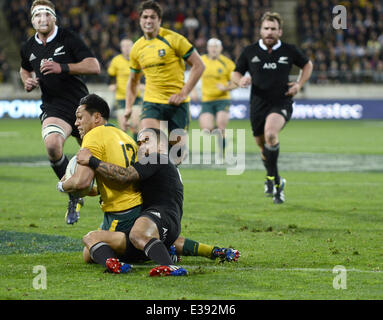 2013 Bledisloe Cup - All Blacks vs. Australia al Westpac Stadium dotate: atmosfera dove: Wellinton, Nuova Zelanda quando: 24 Ago 2013 Foto Stock